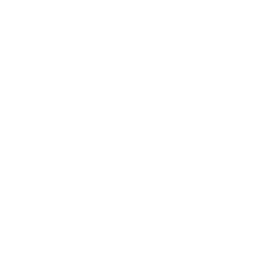 ce logo Valdosta